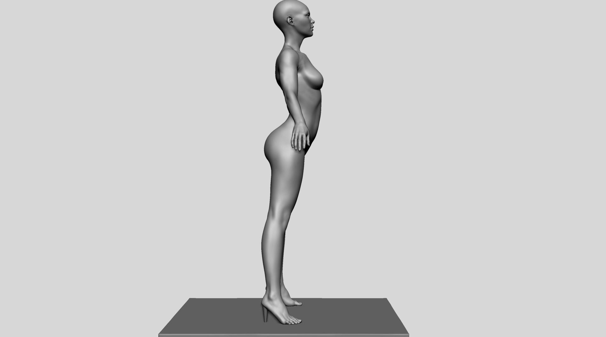 Base Female Anatomy C 3D model_7