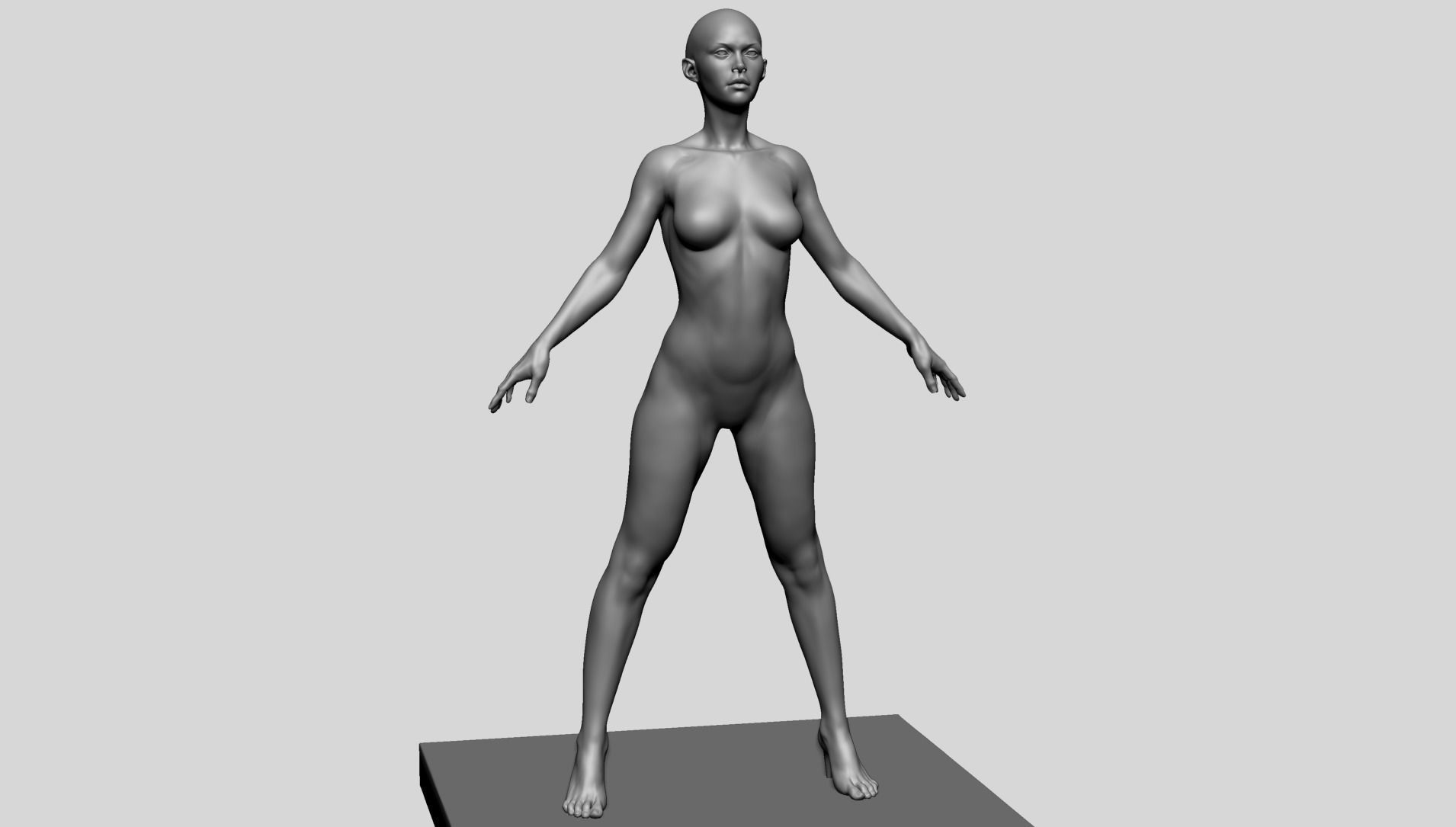 Base Female Anatomy C 3D model_2