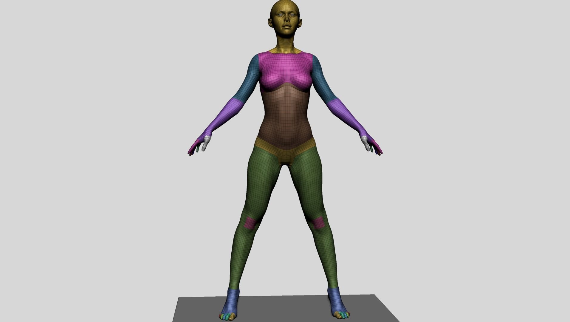 Base Female Anatomy C 3D model_17
