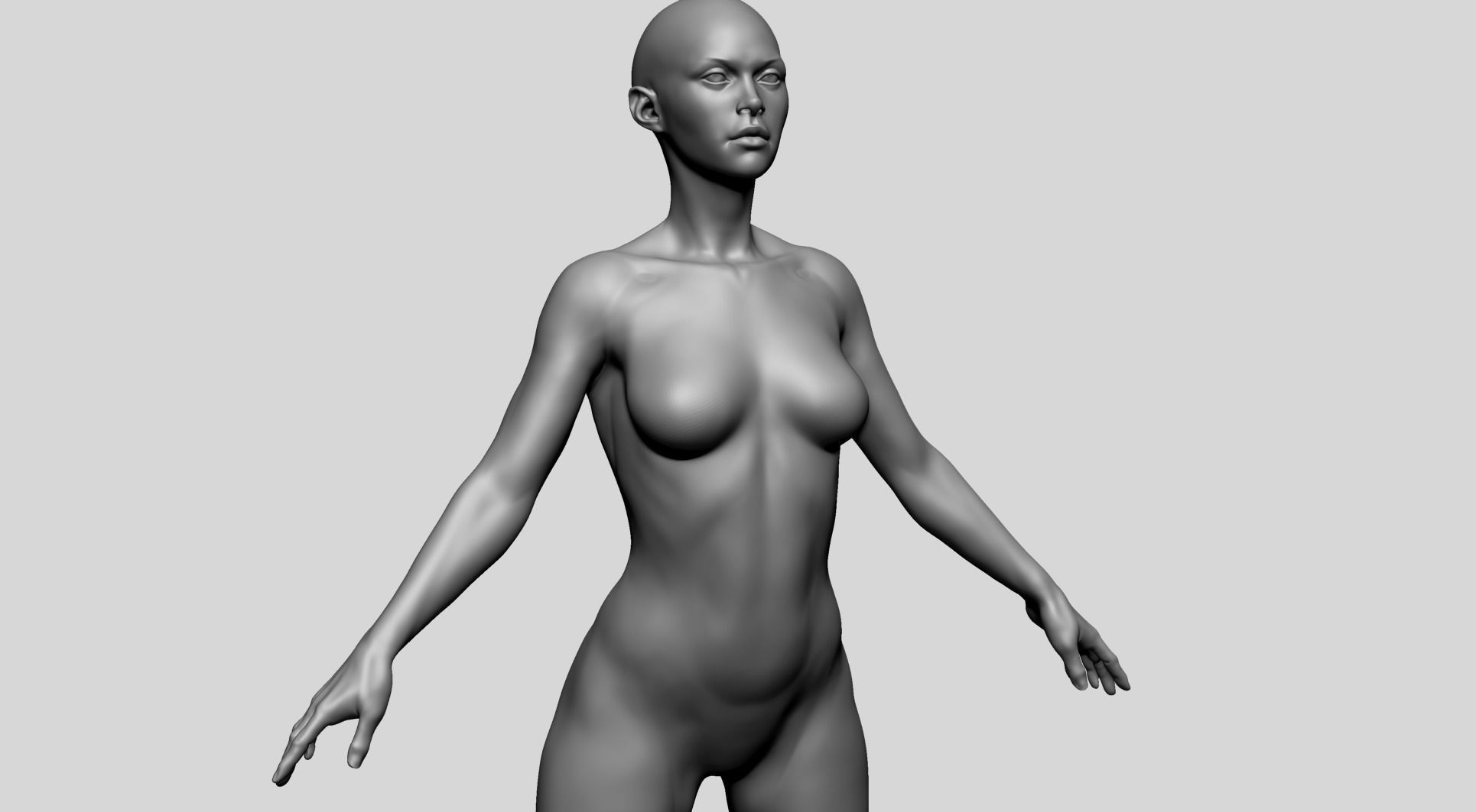 Base Female Anatomy C 3D model_10