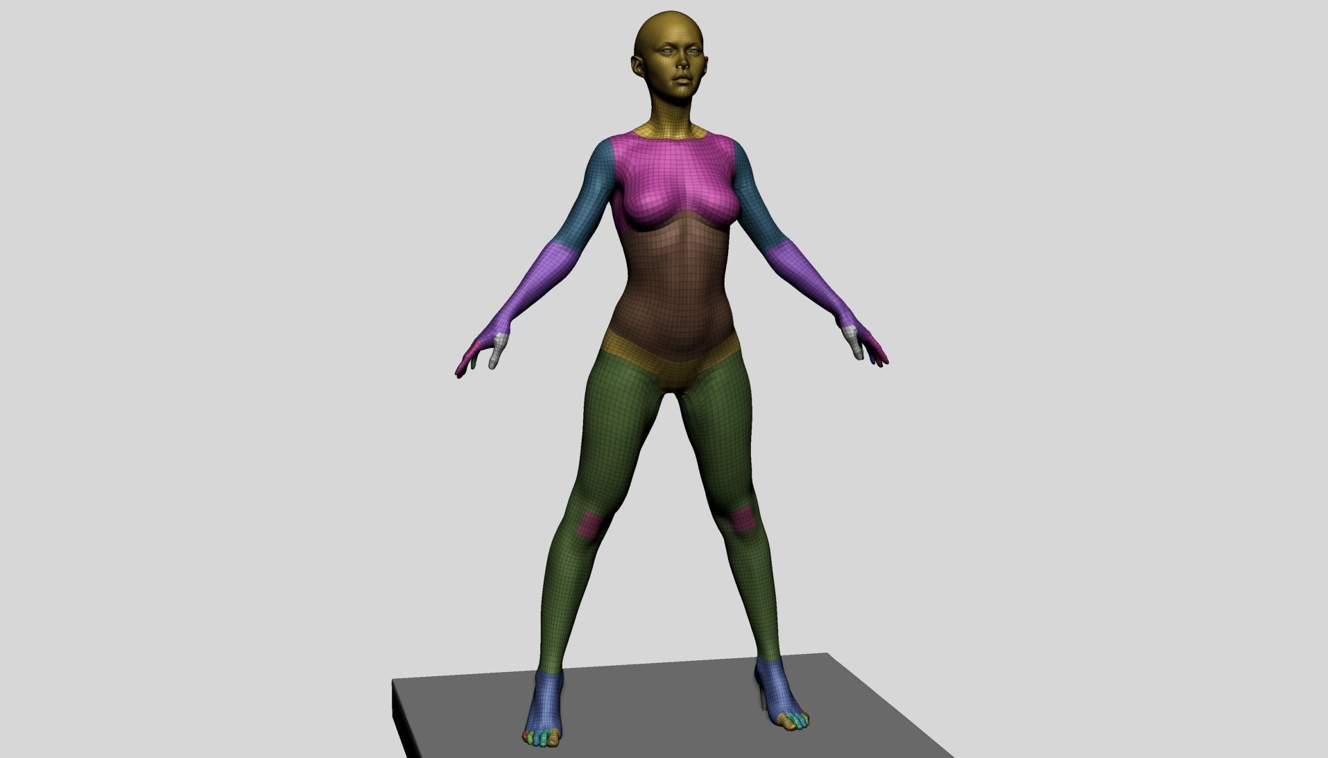 Base Female Anatomy C 3D model_3