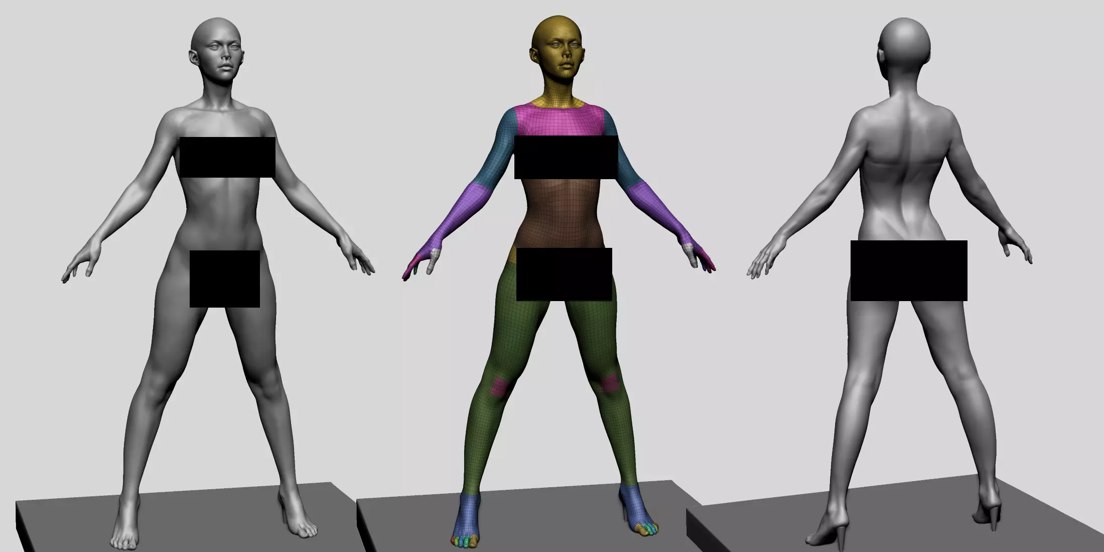 Base Female Anatomy C 3D model_0
