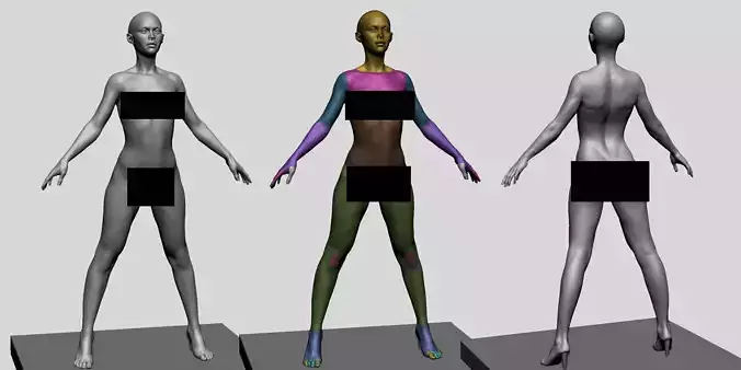 Base Female Anatomy C 3D model