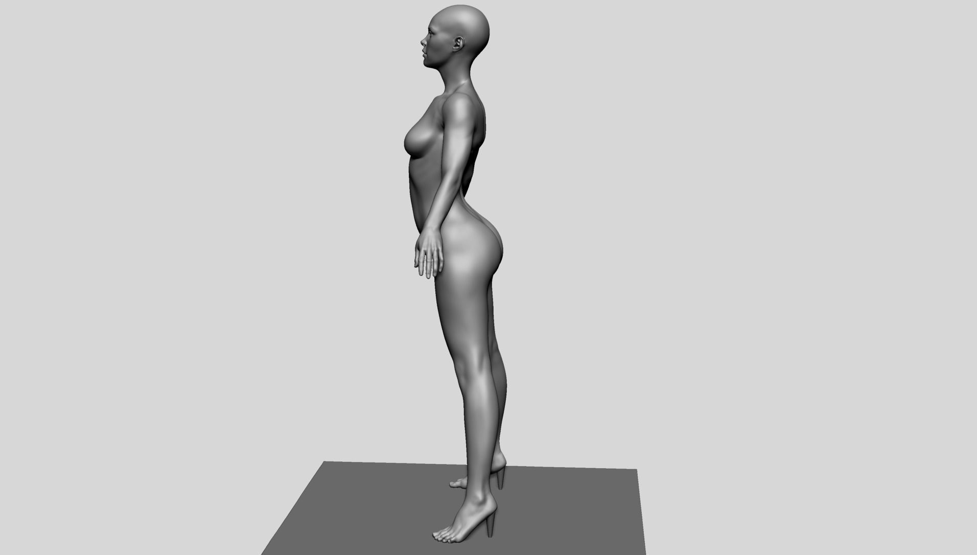 Base Female Anatomy C 3D model_5