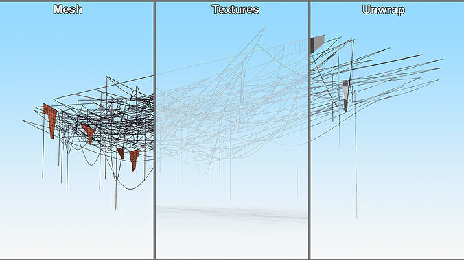 Spider Web 3D model 7