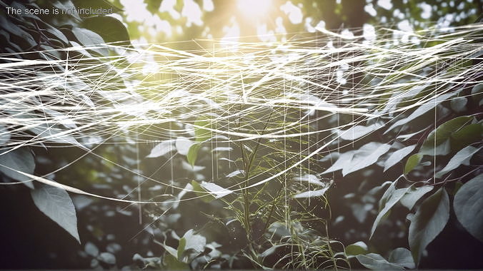 Spider Web 3D model 2