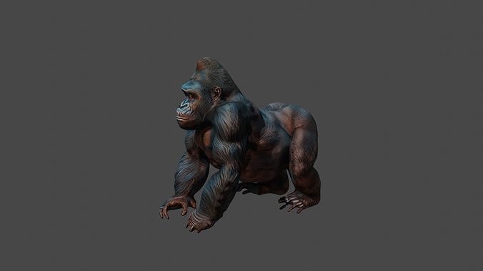 black wild gorilla 3d model free Free low-poly 3D model