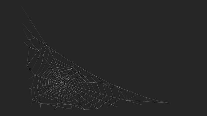 Triangular Shaped Spider Web