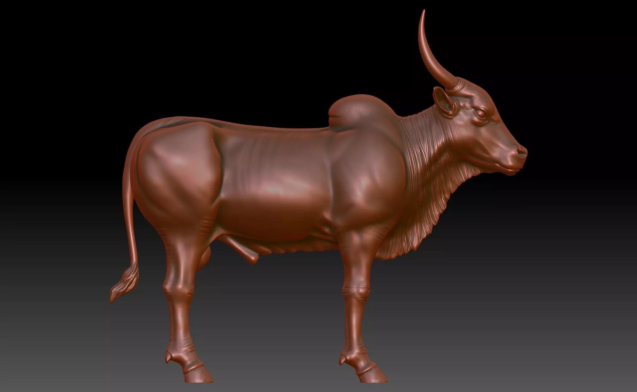 Ox - Indian 3D print model_0