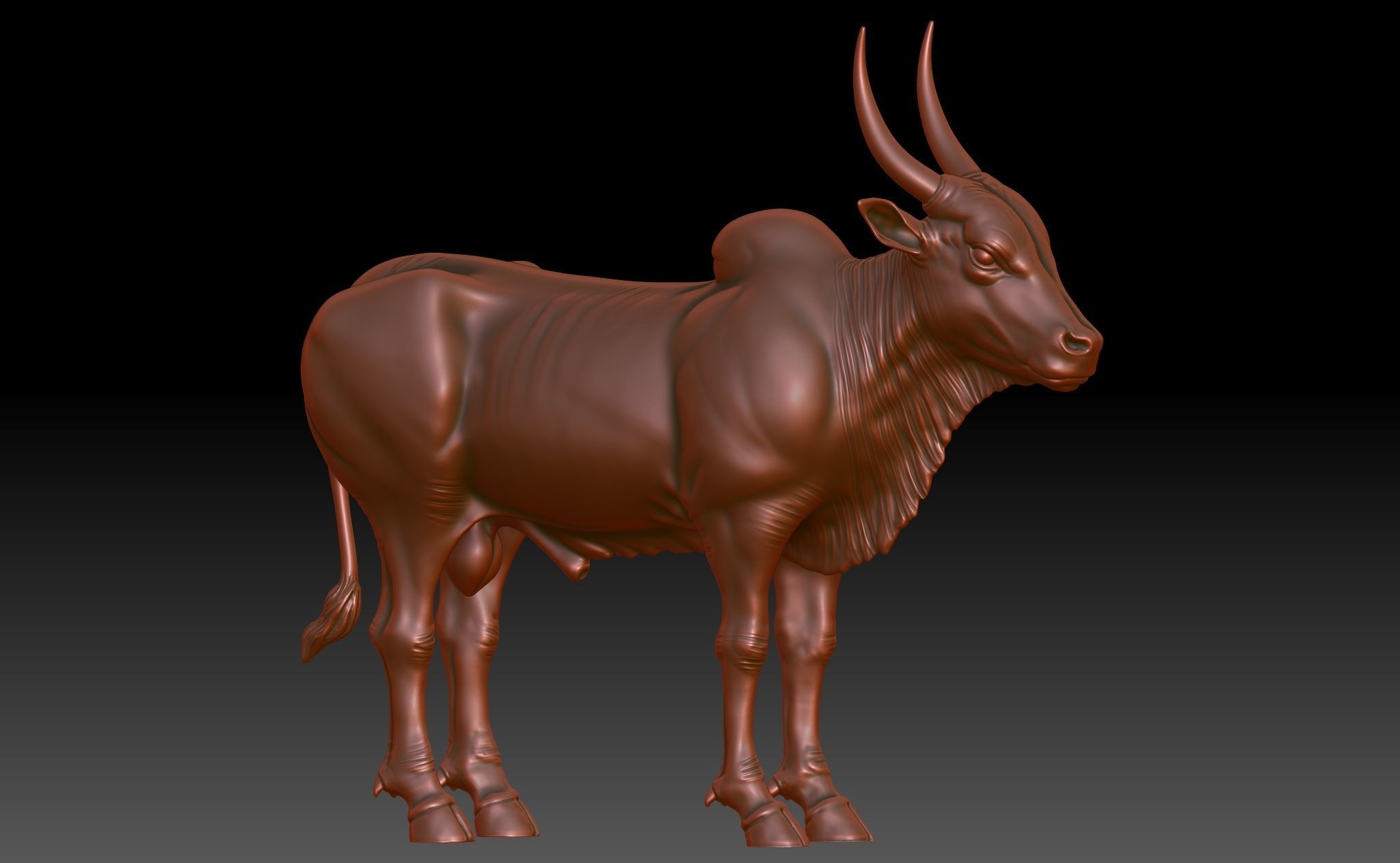 Ox - Indian 3D print model_1