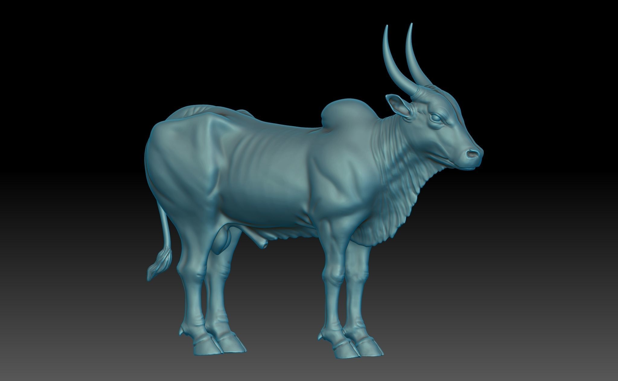 Ox - Indian 3D print model_6