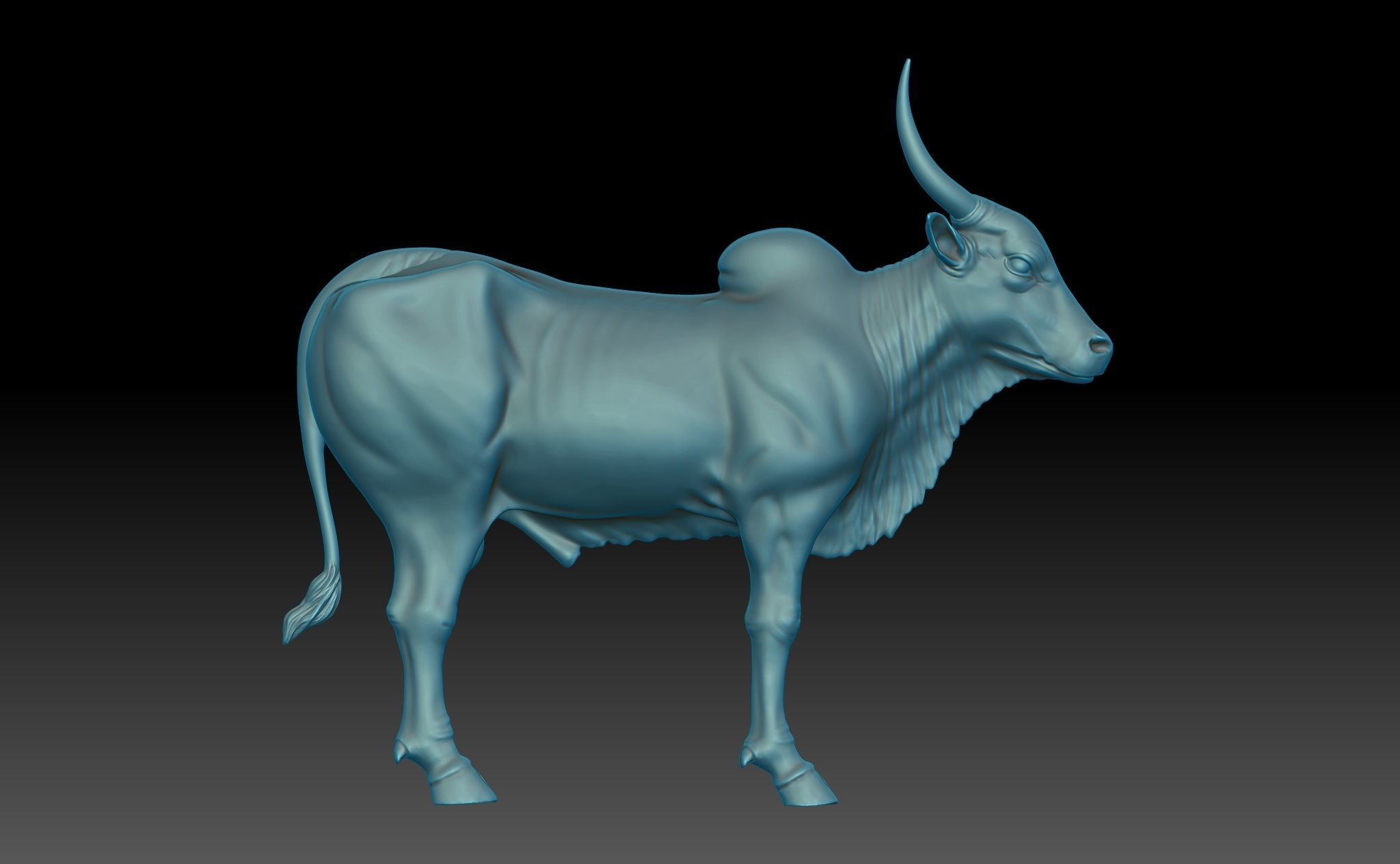 Ox - Indian 3D print model_5