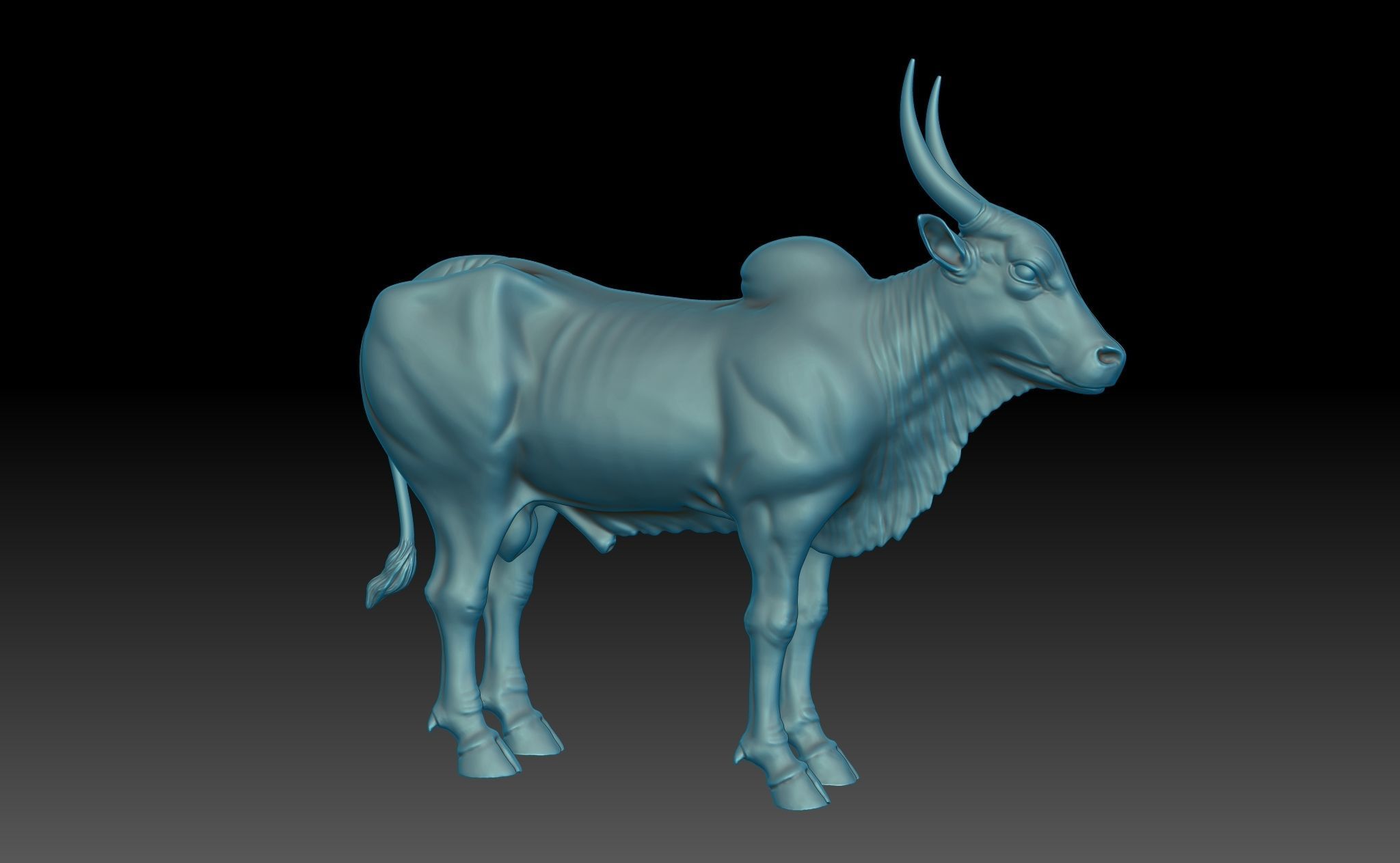 Ox - Indian 3D print model_4