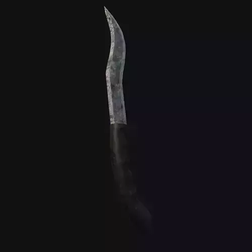 Doomshadow Shiv Dark 3D Model Dagger for Digital Assassins
