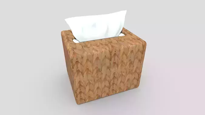 Tissue Box 5