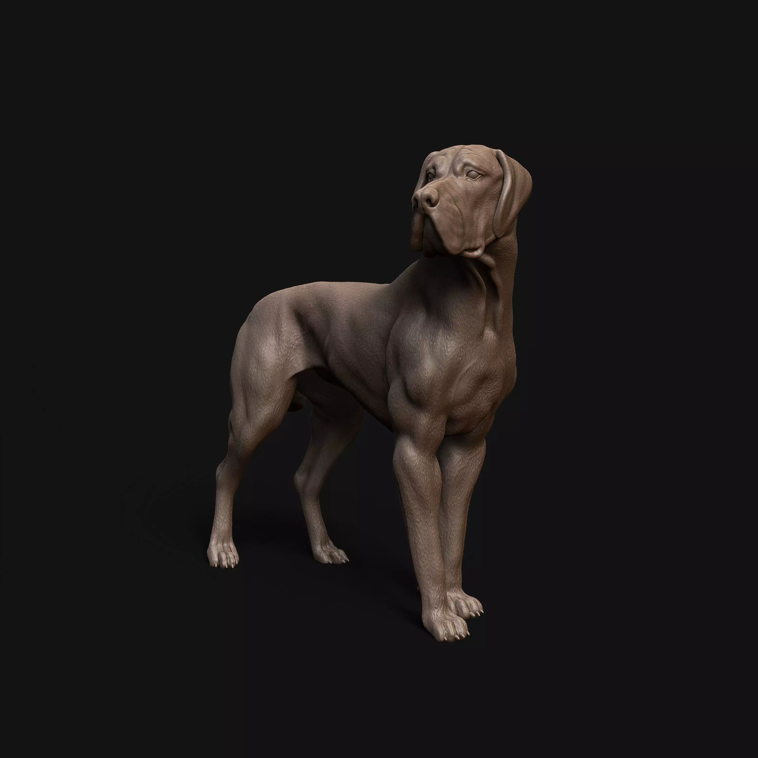 Great Dane dog - pre supported 3D print model