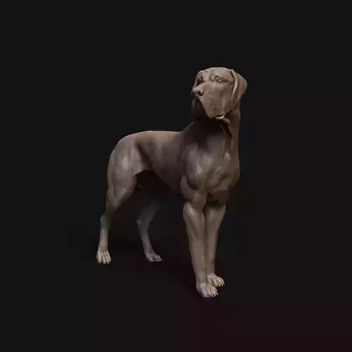 Great Dane  dog - pre supported  3D print model