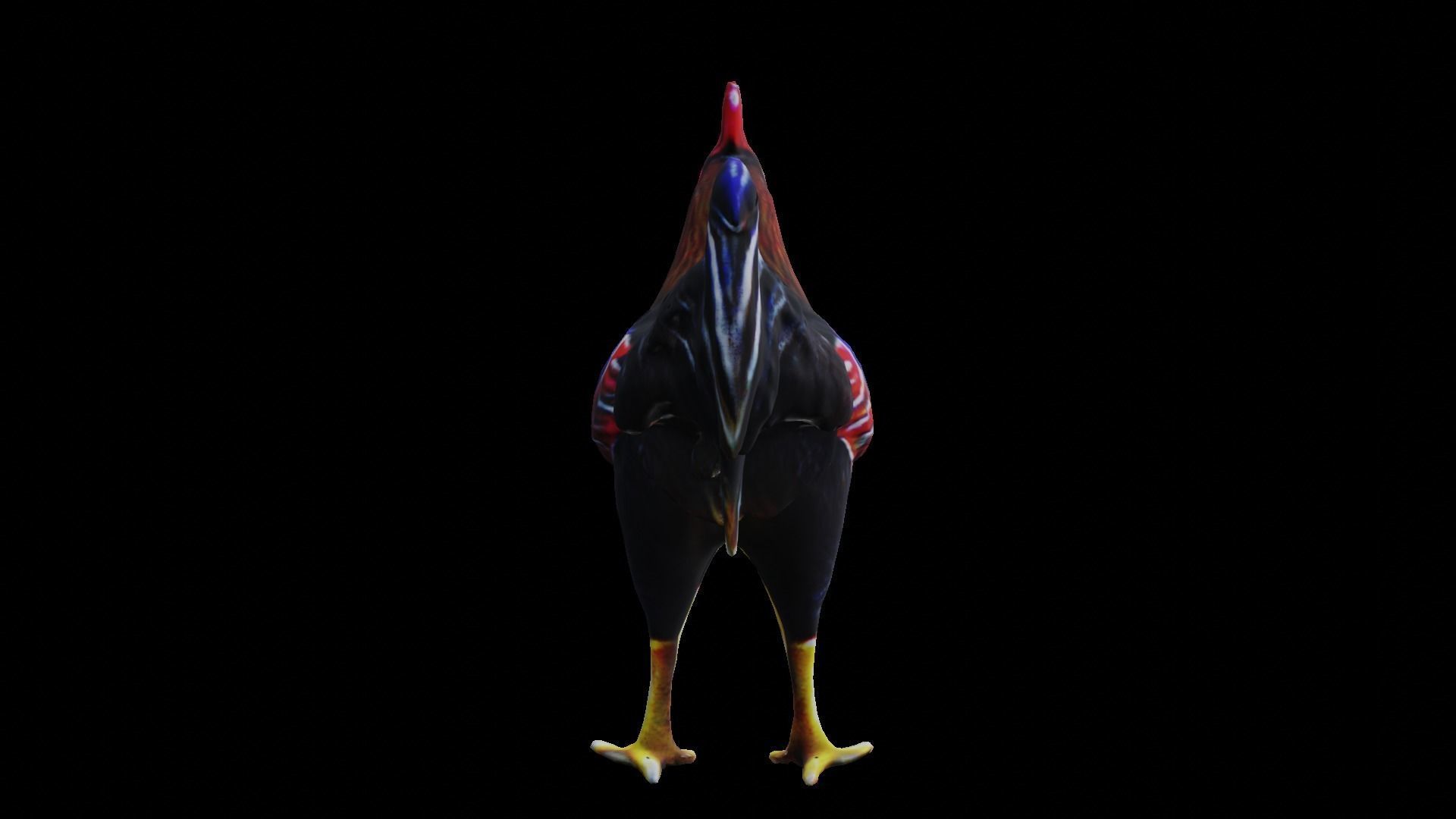 Rooster low-poly PBR Low-poly 3D model_8