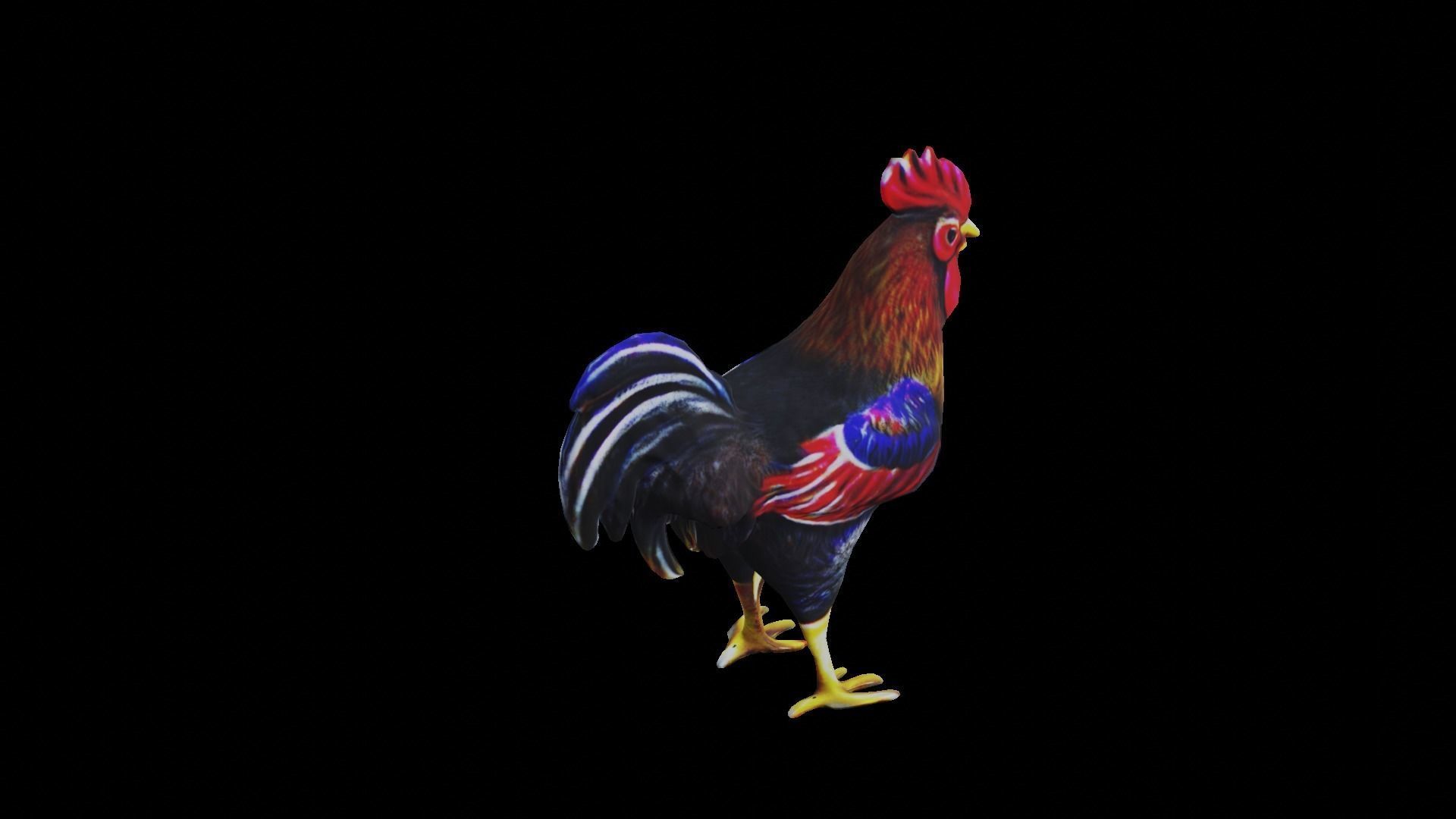 Rooster low-poly PBR Low-poly 3D model_11