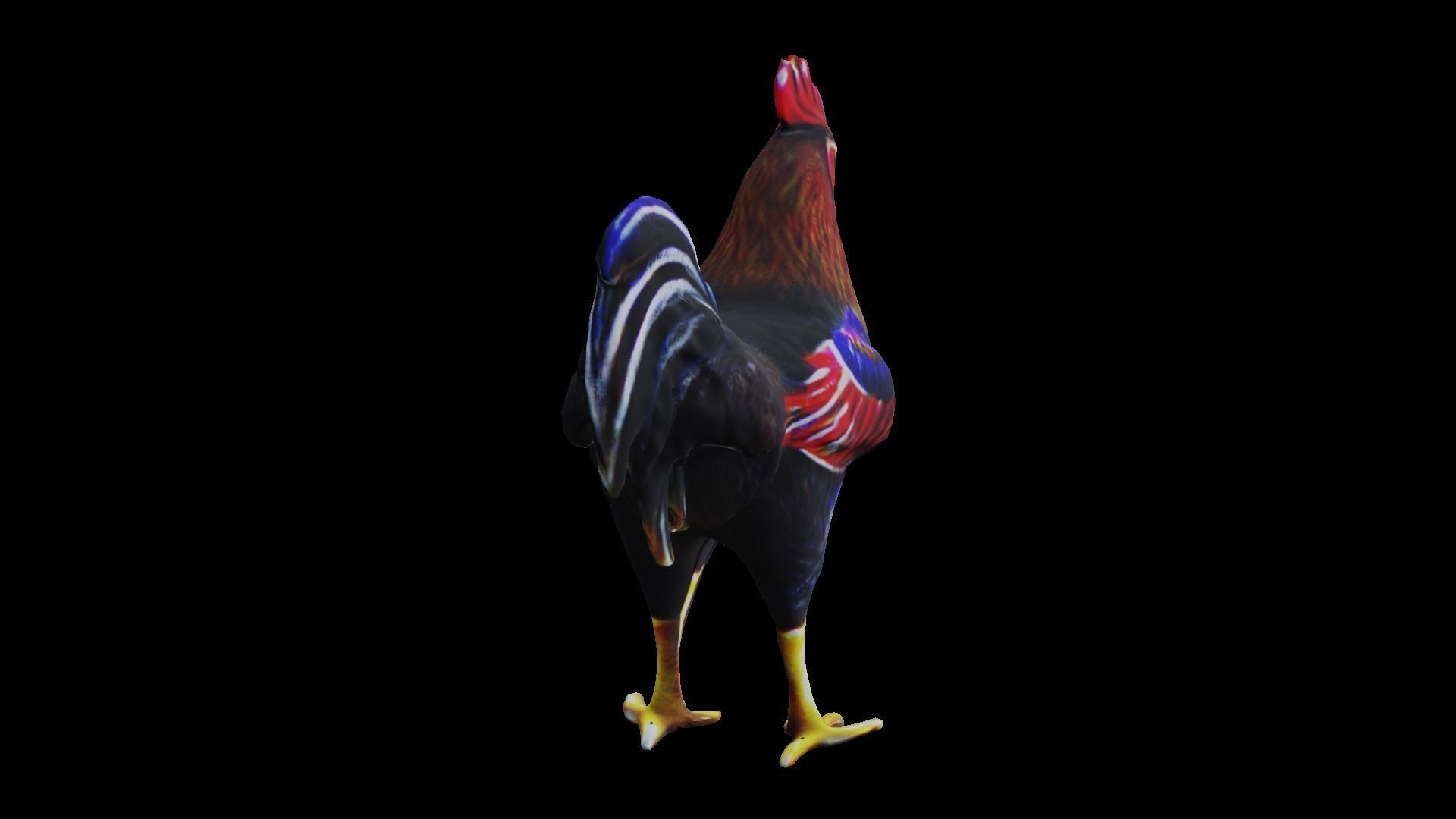 Rooster low-poly PBR Low-poly 3D model_9