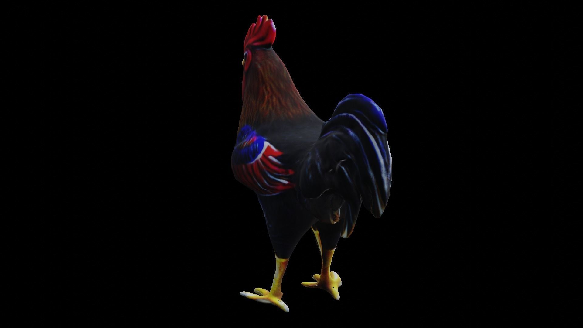 Rooster low-poly PBR Low-poly 3D model_7