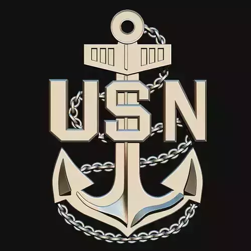 3D USN LOGO