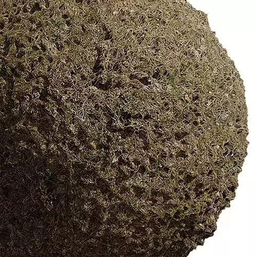 Gravel Seamless Texture 2K - EXR 5 - JPG 5 Texture