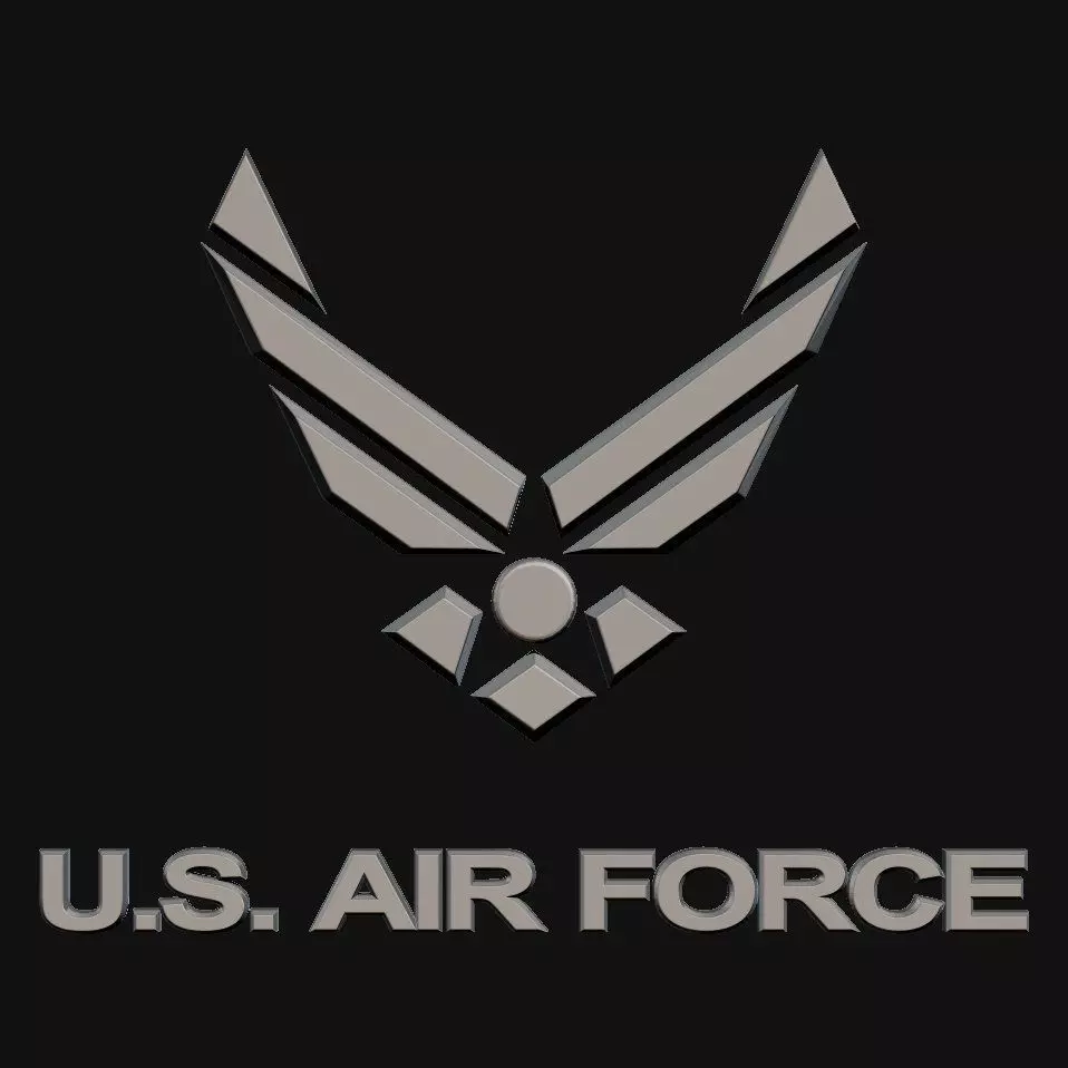 3D US AIR FORCE Log 3D model_0