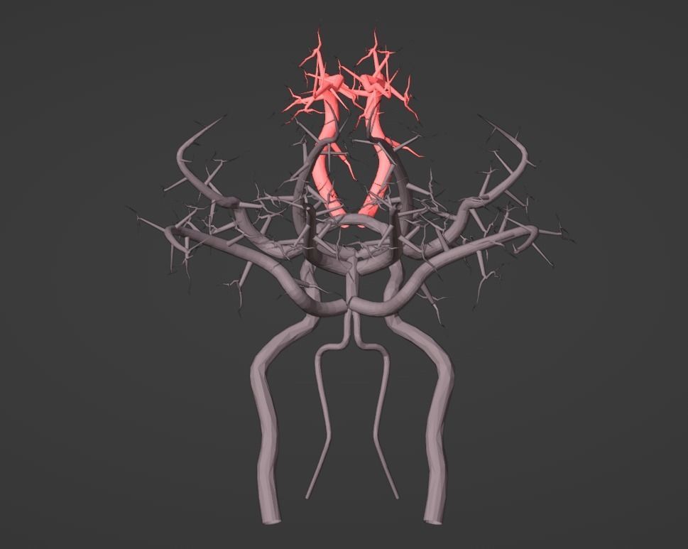 3D Model of Brain and Blood Supply - Circle of Willis 3D model_2