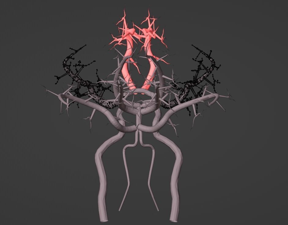 3D Model of Brain and Blood Supply - Circle of Willis 3D model_10