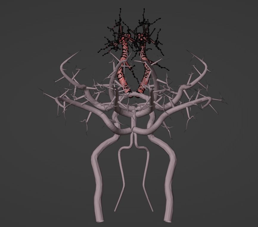 3D Model of Brain and Blood Supply - Circle of Willis 3D model_12
