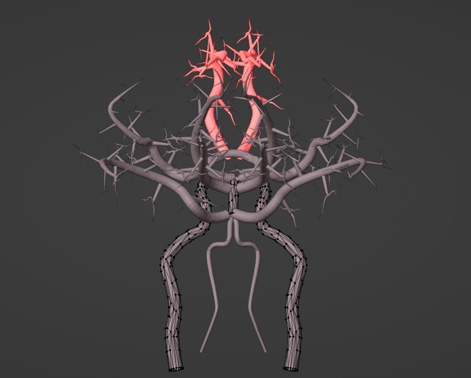 3D Model of Brain and Blood Supply - Circle of Willis 3D model_9