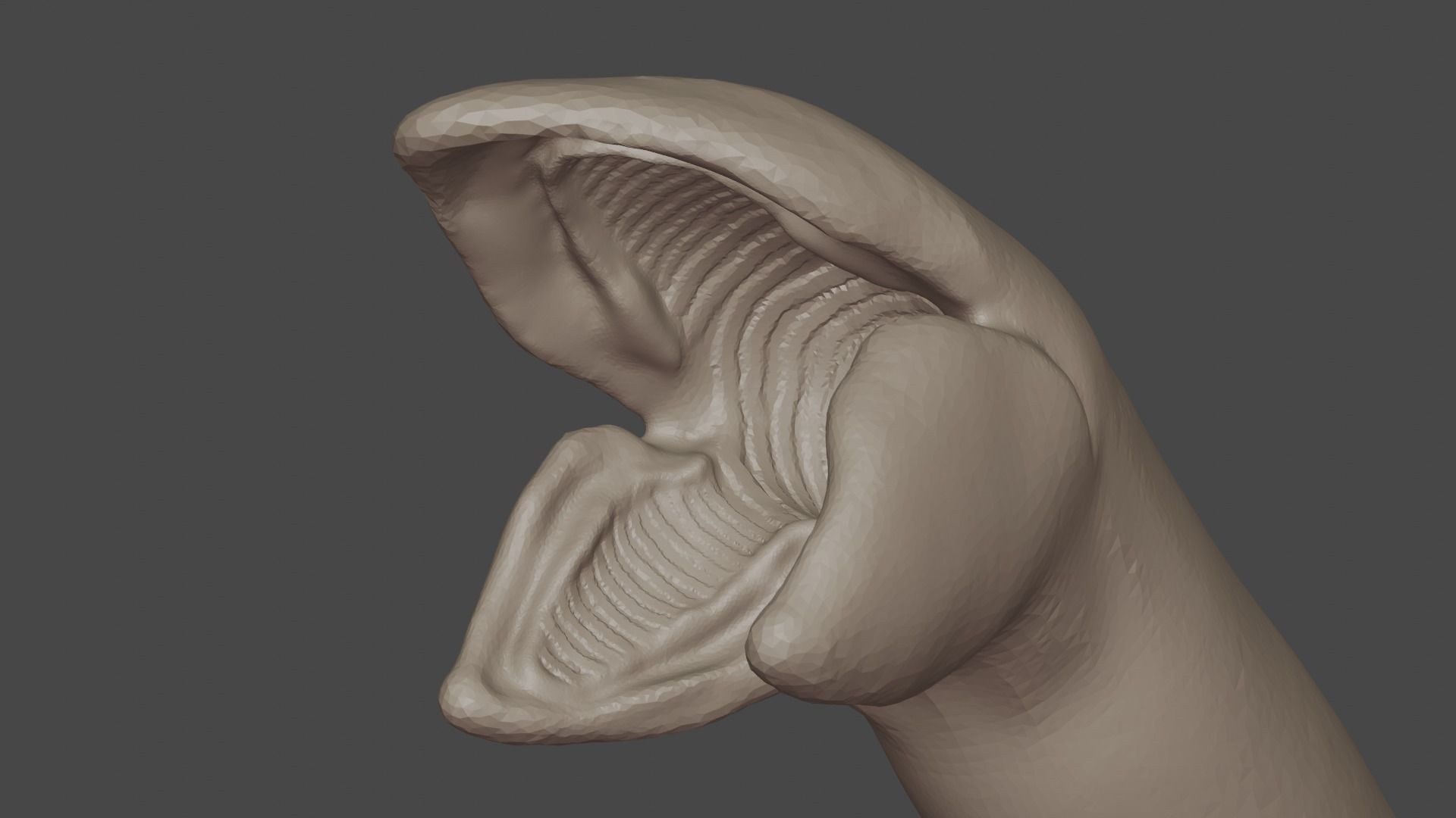 Dune Sandworm -Shai-Hulud- 3D model 3D model_10