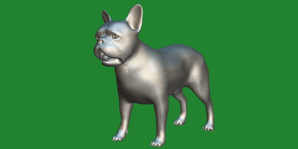 French Bulldog Breed Low-poly 3D model_5