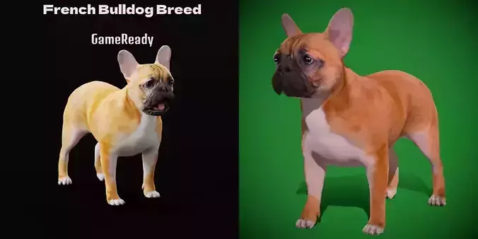 French Bulldog Breed Low-poly 3D model