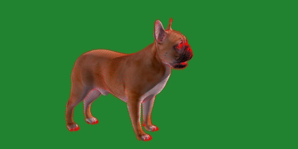 French Bulldog Breed Low-poly 3D model_8
