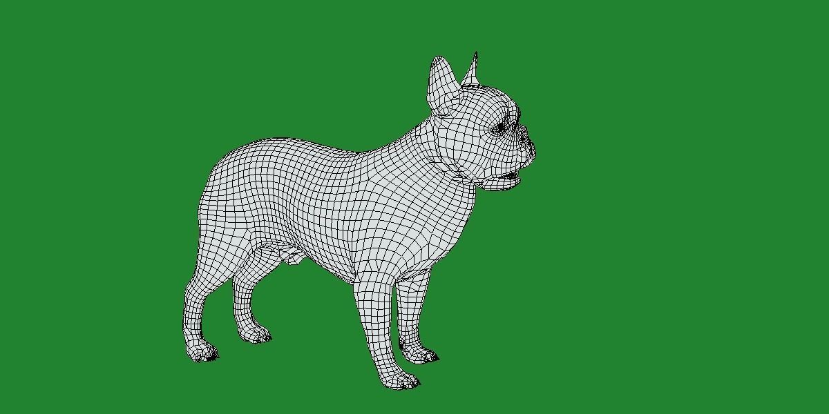 French Bulldog Breed Low-poly 3D model_7