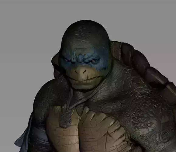 Leonardo TMNT Viking