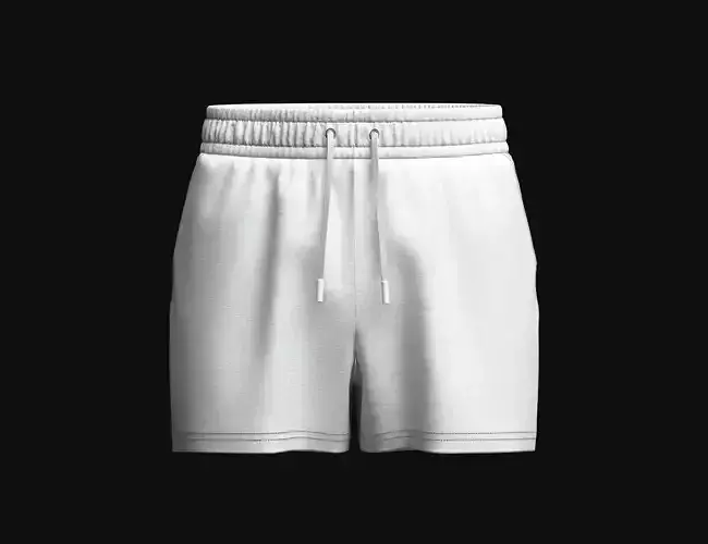 Mens Elastick Shorts 3d Model