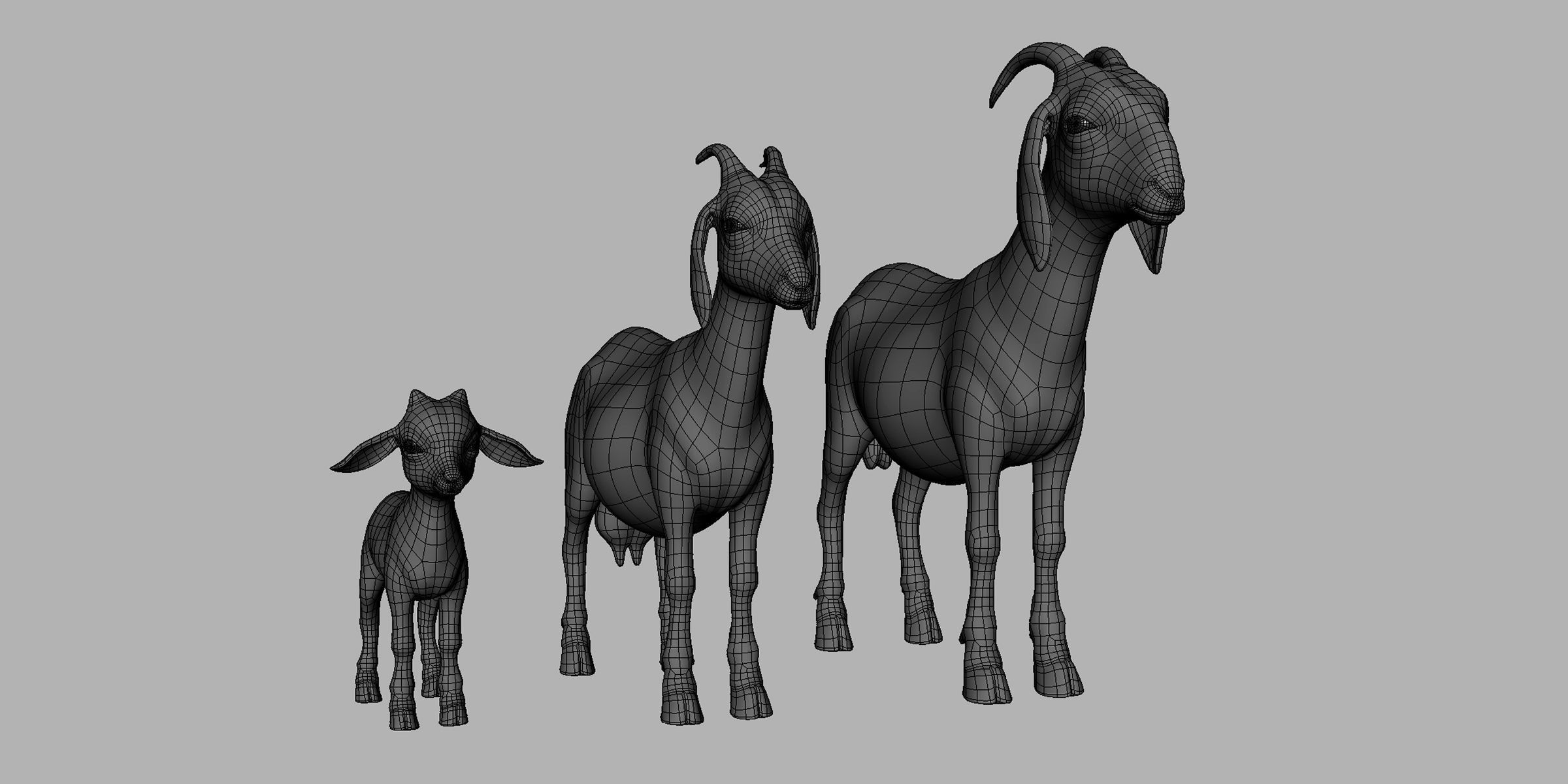 Goat Family Basemesh Low-poly 3D model_2