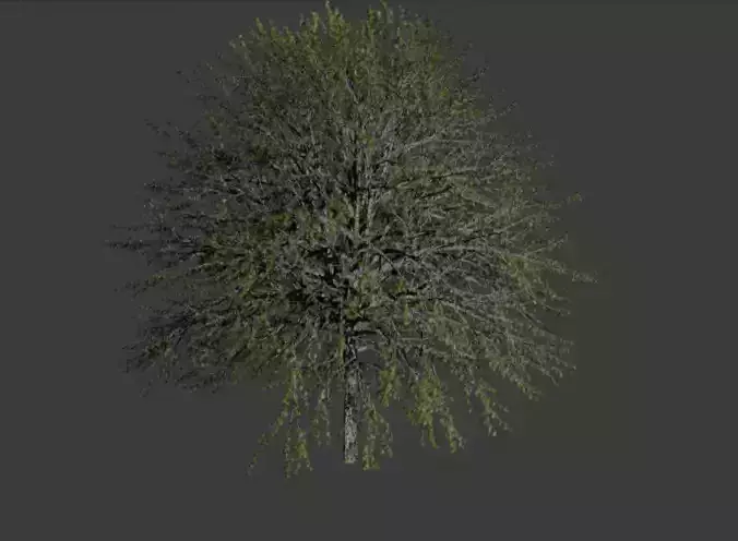 realistic tree