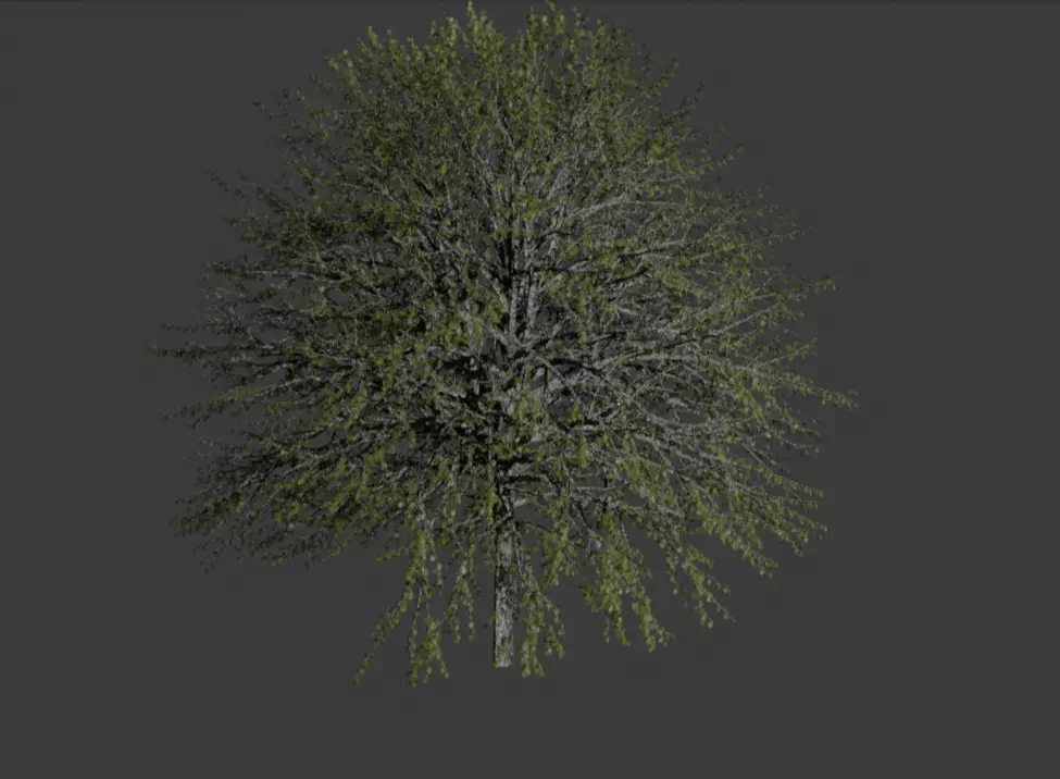 realistic tree 3D model_0