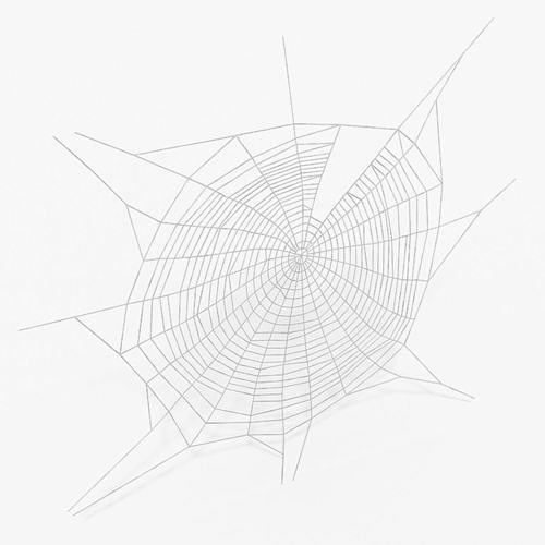 Spider Web in Circle Shape 3D model 2