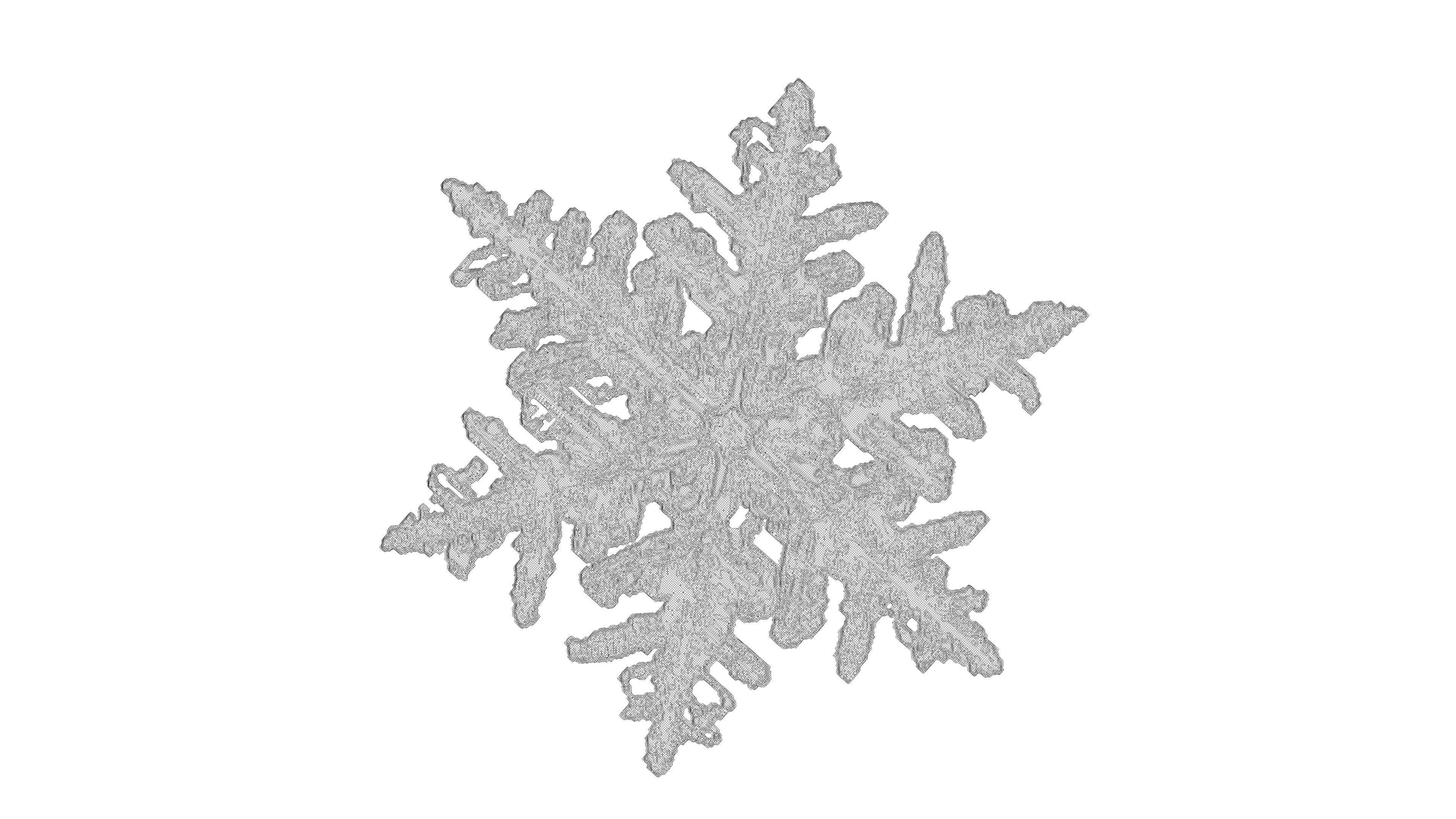 Snowflake 3D model_7