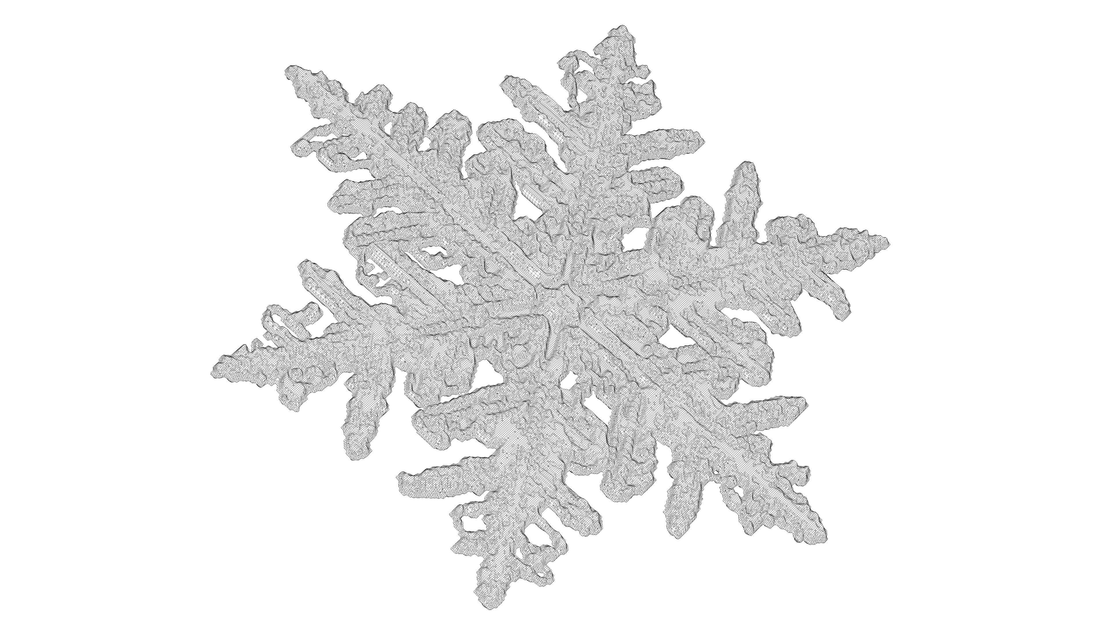 Snowflake 3D model_6