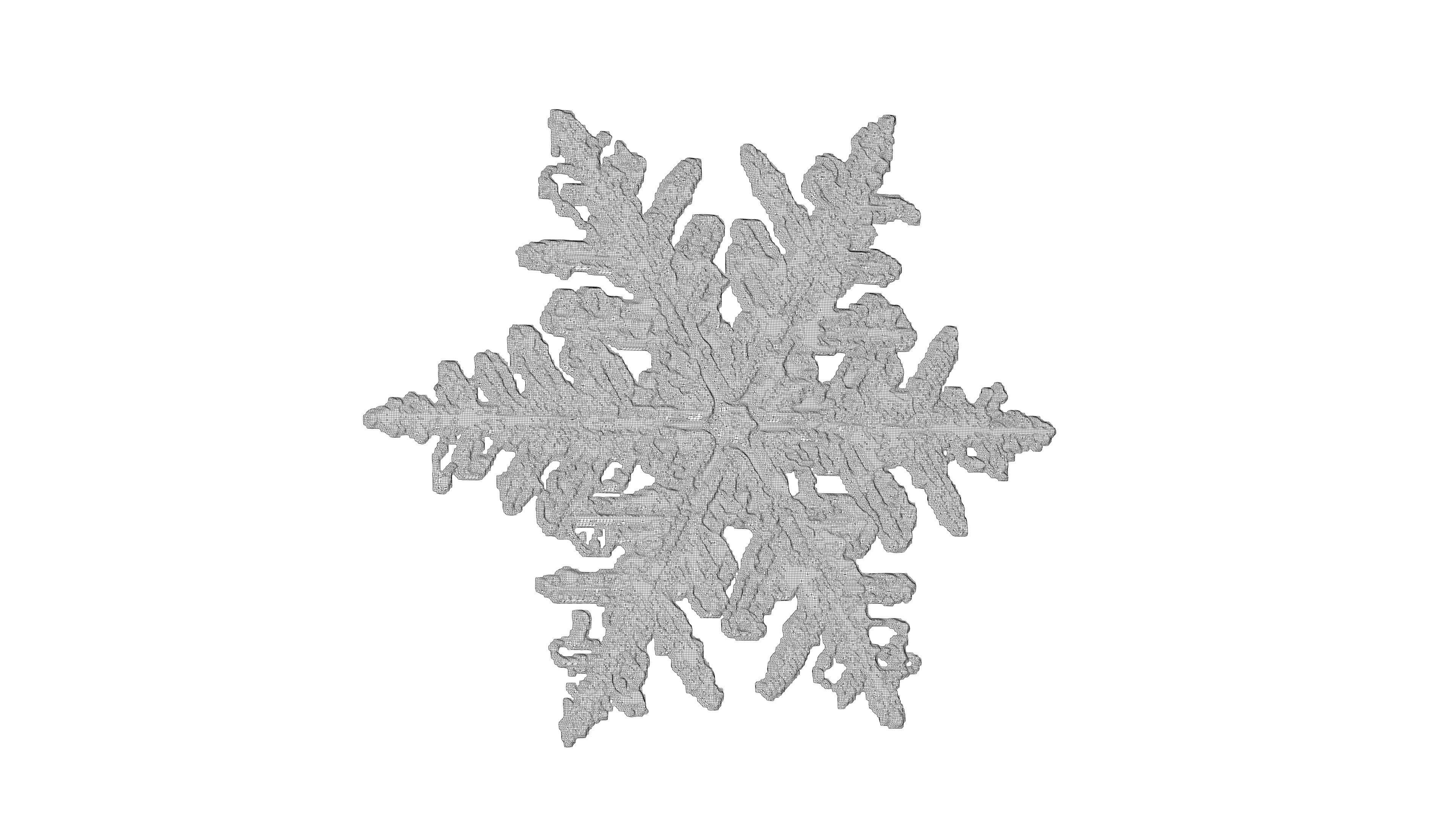 Snowflake 3D model_8