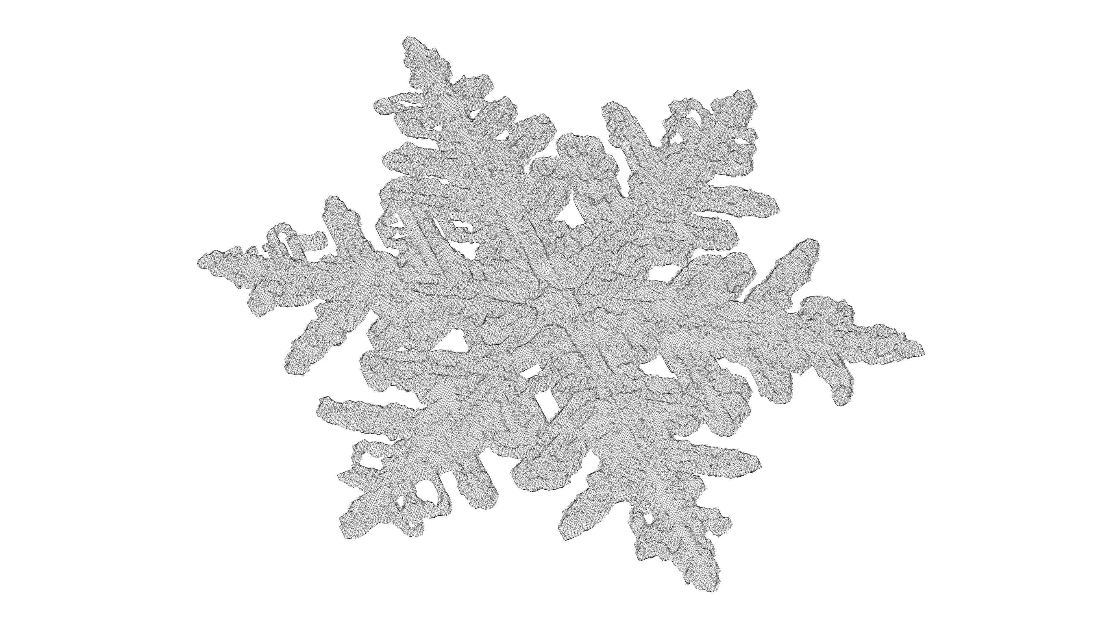 Snowflake 3D model_5