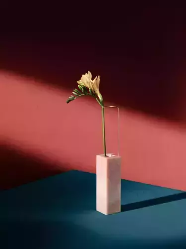 Fressia yellow flower 3D model
