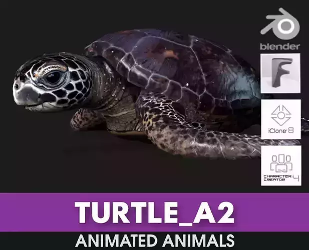 Turtle-A2 3D model