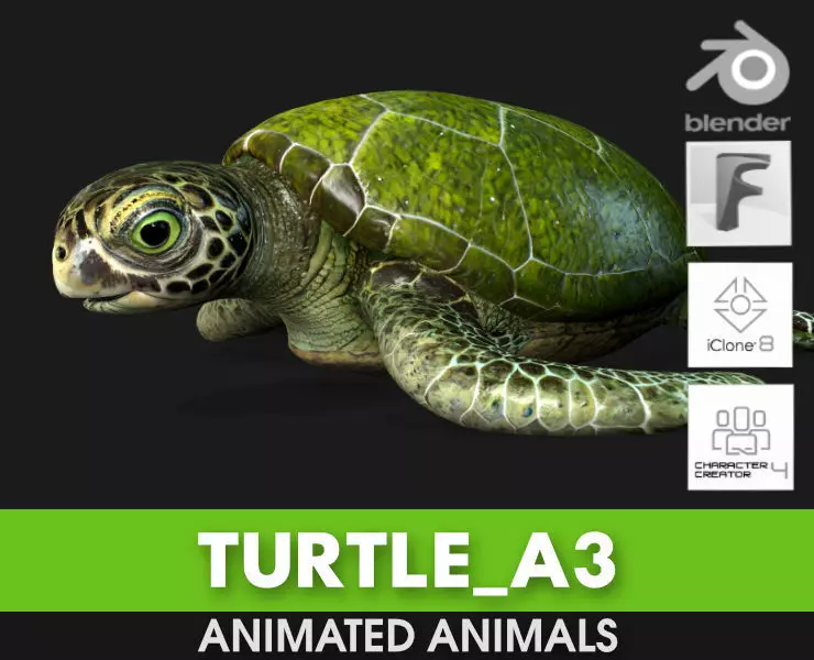 Turtle-A3 3D model_0